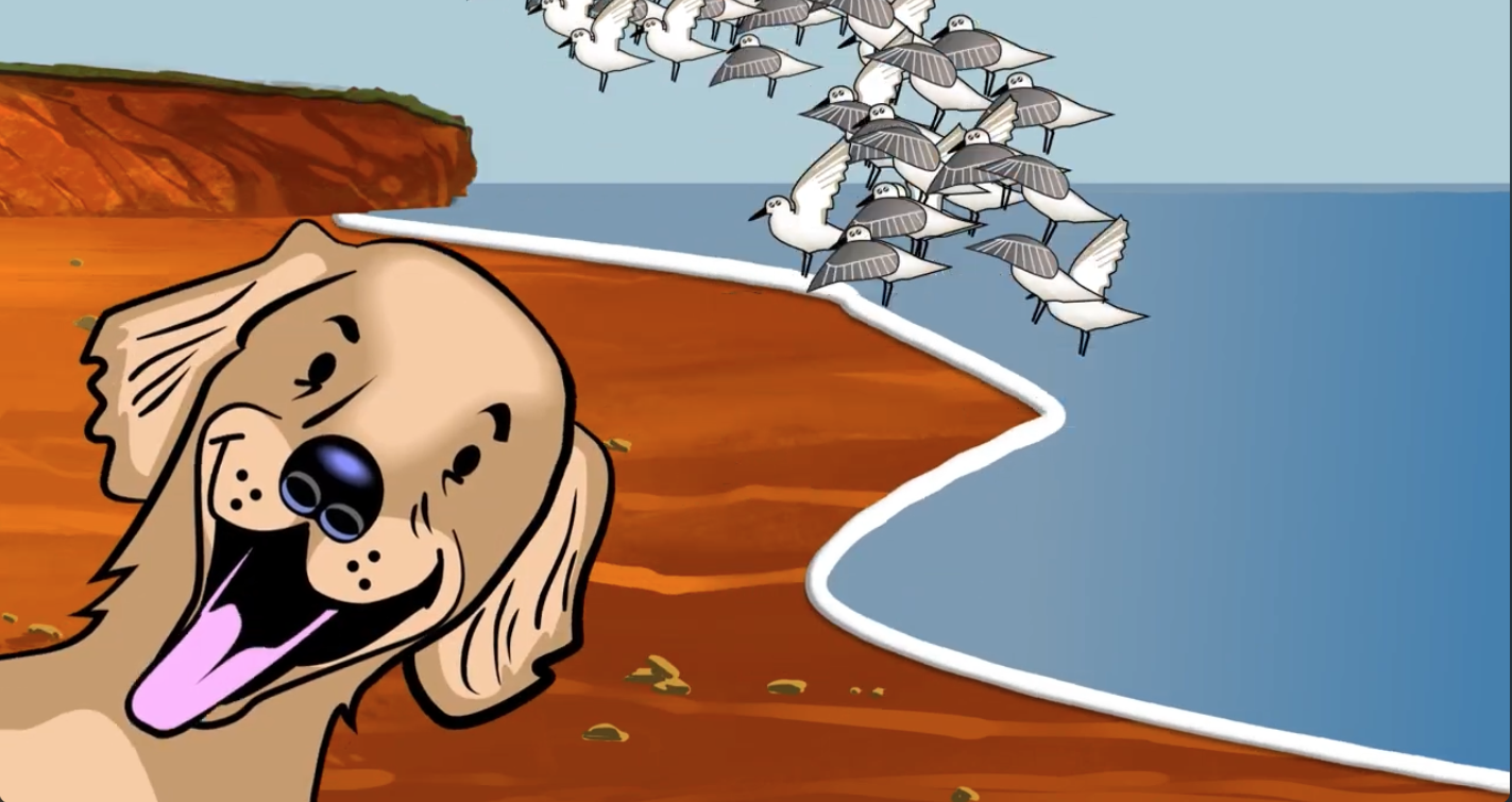 Still from Birds Canada Animation